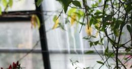 Typing In The Rain 'Typing In The Rain' is an ambient cape that combines the rhythmic of typing on a keyboard with the