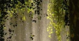 Tennessee Summer Storm: Listening Out Through A Screen Door 'Tennessee Summer Storm: Listening Out Through A Screen Door'