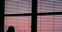 Summer Night In Town. The ambient cape titled 'Summer Night In Town' captures the distinct acoustic characteristics of an