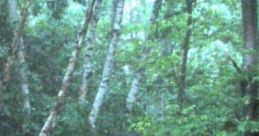 Blessed Rains: It's Raining Outside And Inside They Bless It "Blessed Rains: It's Raining Outside And Inside They Bless It"
