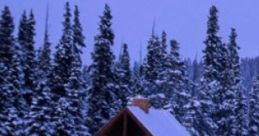 Solitary Mountain Cabin: Read, Listen. The 'Solitary Mountain Cabin: Read, Listen.' cape captures the serene atmosphere of
