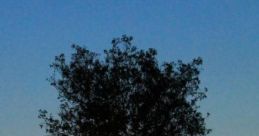 Once-Sweltry Summer Evening: Picture If You Will... 'Once-Sweltry Summer Evening: Picture If You Will...' captures the