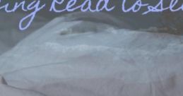 Being Read To Sleep The ambient cape titled "Being Read To Sleep" captures the soothing atmosphere of a cozy bedroom, where
