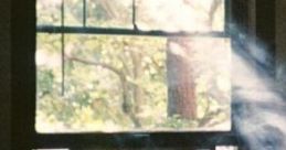 Witchtown Witchouse: Just A Relaxing Summerish Day At The Witchhouse "Witchtown Witchouse: Just A Relaxing Summerish Day At