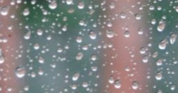 Raining Afternoon At Home 'Raining Afternoon At Home' features a gentle, consistent of summer rain, creating a soothing