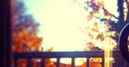 Study Session In Autumn: Just You And Your Friend With Some Hot Beverages While It's Raining Outside The ambient cape