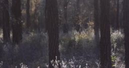 کلبه جنگلی در شب شماره یک 'کلبه جنگلی در شب شماره یک' offers an immersive cape that captures the essence of a forest cabin at
