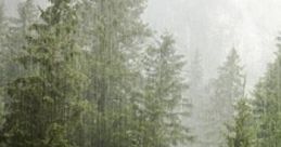 Nature's Lullaby: Thunderstorm By A Creek 'Nature's Lullaby: Thunderstorm By A Creek' captures the serene ambiance of a