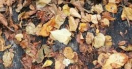 Coffee By The Fireplace: A Cup Of Coffee By The Fireplace On A Rainy Day The cape titled "Coffee By The Fireplace: A Cup Of