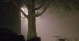 Cozy Cat, Rainy Spring Night: Cat Purr And Fireplace With Rain And Forest 'Cozy Cat, Rainy Spring Night: Cat Purr And