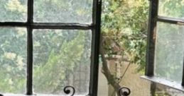 Study By The Window - Birdsong: Working Near An Open Window In A Cozy Room "Study By The Window - Birdsong: Working Near An