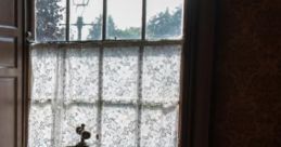Mostly Empty Home The ambient cape titled 'Mostly Empty Home' captures the subtle of a sparsely furnished residence, where