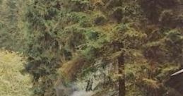 Dream Scape: There's A House In The Woods "Dream Scape: There's A House In The Woods" offers an immersive ambient cape