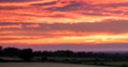 Kansas Summer Nights: Reading With The Window Open On A Summer Night 'Kansas Summer Nights: Reading With The Window Open On A