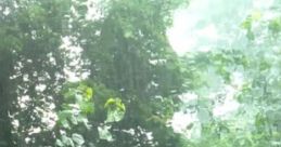 Rainy Garden With Windchimes The "Rainy Garden With Windchimes" cape features a blend of steady rainfall, soft wind, and