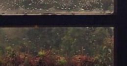 Autumnal: Perfectly Autumnal 'Autumnal: Perfectly Autumnal' captures the essence of a dark and rainy afternoon during the