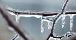 First February Rain The ambient cape titled "First February Rain" captures the gentle onset of the season's initial rainfall,