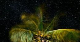 Asleep In Key Largo "Asleep In Key Largo" captures the tranquil cape of a coastal home in Key Largo, Florida, where the