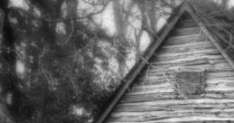 Witch's Kitchen: What's The Witch Brewing Now? "Witch's Kitchen: What's The Witch Brewing Now?" immerses listeners in the of