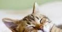 Nap Time: Time For A Nap The ambient cape titled 'Nap Time: Time For A Nap' creates a serene environment conducive to