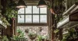 Witches House: "Witches House" is an ambient cape designed to evoke the eerie yet tranquil atmosphere often associated with