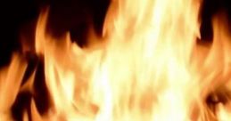 Cozy Winter Reading: Curled Up By The Fire With A Good Book And A Whistling Wind. 'Cozy Winter Reading: Curled Up By The Fire