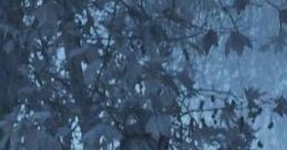 Light Rain And Vivaldi: At Home During Light Rain Listening To Vivaldi The ambient cape titled "Light Rain And Vivaldi: At