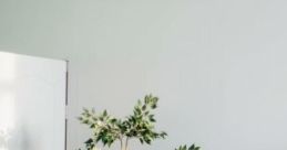 Relaxing At Night Near The Bea: Relaxing At Home, In Front Of The Fireplace. The cape titled "Relaxing At Night Near The