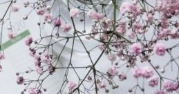 Freshly Picked Inspiration 'Freshly Picked Inspiration' captures the essence of a spring day with open windows, allowing a