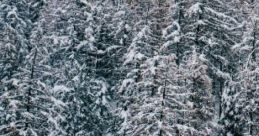 Winter House: 'Winter House' is an ambient cape designed to evoke the serene atmosphere of a cozy home during the winter