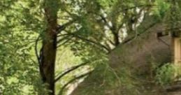 Milo's Hut: D&D - Forest Lycanthrope 'Milo's Hut: D&D - Forest Lycanthrope' offers an immersive ambient cape designed to