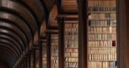 Jason’s Library.: The Sun Trickles In The Room. "Jason’s Library: The Sun Trickles In The Room" captures the serene of a