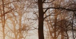 Reading With The Rising Sun: Wake Up Early And Enjoy A Cosy Reading Time While The Day Is Slowly Getting Up... "Reading
