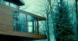 Reading At The Cullen's: In The Deep Woods, With A Vampire Family. "Reading At The Cullen's: In The Deep Woods, With A