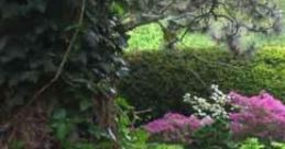 Gardens Of Thornfield: An Evening Walk 'Gardens Of Thornfield: An Evening Walk' captures the serene yet melancholic