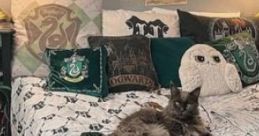 Common Room: Storm Studynight: Harry Potter, Hogwarts Study Time The ambient cape titled "Common Room: Storm Studynight: