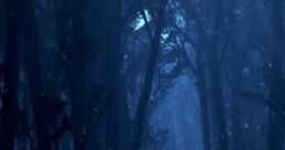 D&D Night Forest D&D Night Forest is an immersive cape designed for tabletop role-playing games, particularly Dungeons &