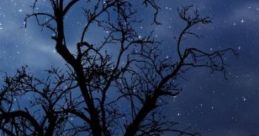 Windy Night "Windy Night" captures the eerie and atmospheric essence of a blustery evening, characterized by the haunting of