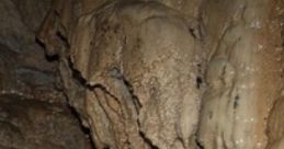 The Dark Cave: Spooky Cave Immerse yourself in 'The Dark Cave: Spooky Cave,' an ambient cape that captures the eerie