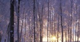 Cold Winter 'Cold Winter' captures the serene cape of an old winter's night in Alaska, where the crisp air is punctuated by