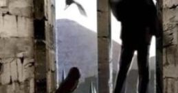 The Owlery The Owlery is a circular stone room featured in the "Harry Potter" series, primarily seen in "Harry Potter and the
