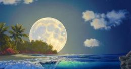 Tropical Island At Night Experience the serene beauty of a tropical island at night, where the gentle of shore waves meets