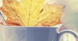 Autumn Writing Autumn writing embraces the season's vibrant colors and sensory experiences, creating an inspiring environment