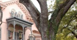 The Garden District: A Peaceful Afternoon On A Garden District Porch Experience the serene charm of the Garden District, a