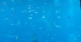 Safe Haven: Underwater Safe Haven "Safe Haven: Underwater Safe Haven" is a conceptual audio experience designed to