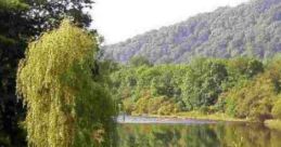Mid-May Afternoon Mid-May Afternoon captures the serene essence of late spring in the UK, characterized by the gentle of