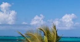 Tropical Island: Tropical Island By The Fire "Tropical Island: Tropical Island By The Fire" offers a serene audio
