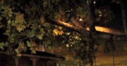 Approaching Storm: Sitting On The Porch Waiting For The Storm. "Approaching Storm: Sitting On The Porch Waiting For The