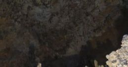 Empty Cavern: Desolate Shelter "Empty Cavern: Desolate Shelter" is an immersive audio experience designed for those seeking