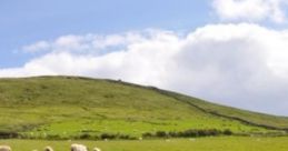 Irish Countryside: He Maketh Me To Lie Down "Irish Countryside: He Maketh Me To Lie Down" is an immersive experience that